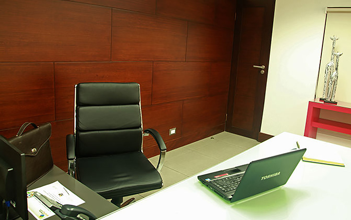 Forro de Pared de Eucalipto